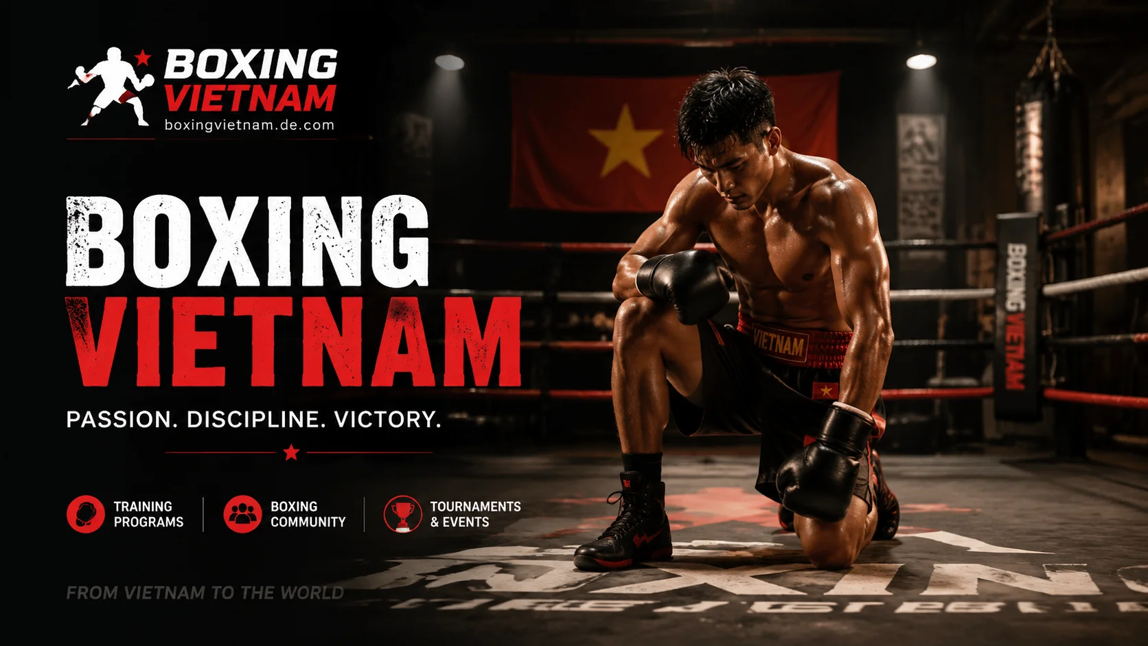 NOHU boxingvietnam